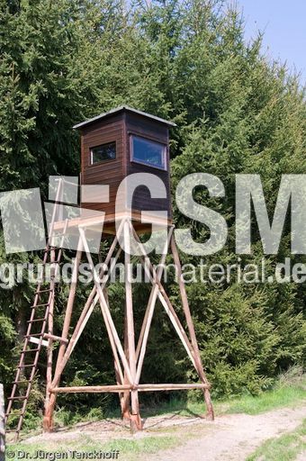 Hochstände (103 von 154).jpg